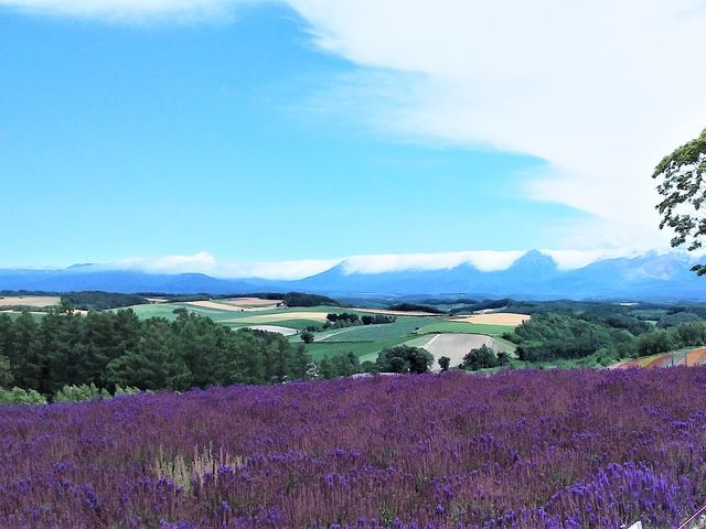 �l�G�ʂ̋u_�l�G�ʂ̋u