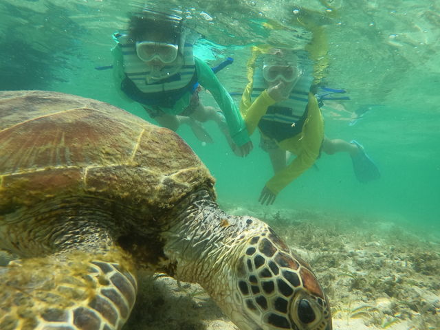 ���Ԃ�ł��킢���E�~�K���ɏo��܂����I_Cheerful �{�Ó�