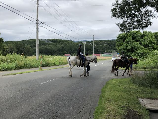 ԓnėѓ_tmgbLOT|[gVn