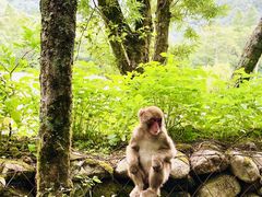 ����������񂳂�̏㍂�n�ւ̓��e�ʐ^2