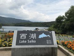 Shota����̐��΁i�̌��ό��j�ւ̓��e�ʐ^1