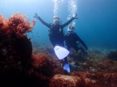 oNDIVEHOUSE FUTOւ̓eʐ^2