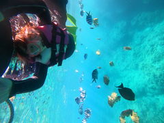 ӂ̃}T[rXނʁ[ւ̓eʐ^1