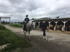 umenogreeñtmgbLOT|[gVnւ̓eʐ^1