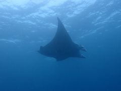 miã}Vbvtaitaiւ̓eʐ^3