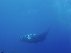 miã}Vbvtaitaiւ̓eʐ^4