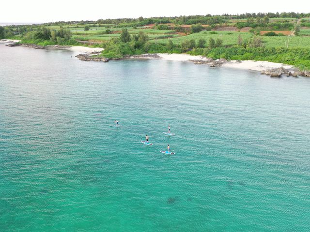 �h���[����B���ƂĂ��悩�����ł��I_Sunnies Miyakojima