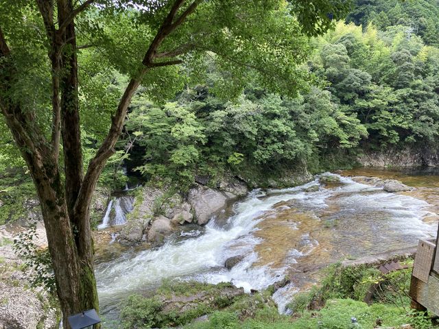 �ቺ�̐����B�J�����������̂Ő��ʂ͑��������Ǝv���܂�_���̕�HAZU