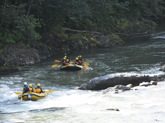 t@~[Ȃ̂ŉ₩ȏłAX𖡂킦鏊qB͖I_ApC@o[KCh