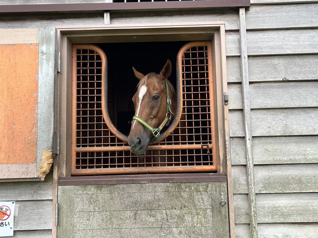 Ɍq{ĂXYJtFjbNXBɖ߂ĂOڂ蒭߂Ă܂B_炩DxrbWuAERUv