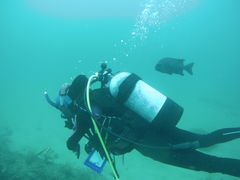 ΂₵̃V[}Yr[`ւ̓eʐ^1