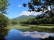 yosshy̒m܌΂̓eʐ^4