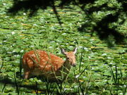 yosshy̒m܌΂̓eʐ^6