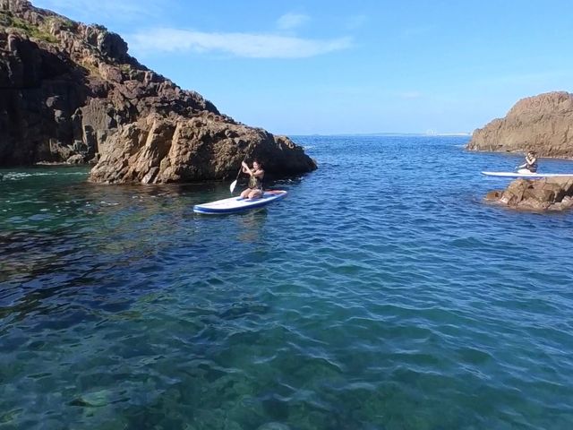 �g���������̂ł�����������܂����B
�������������ʂ��Ă����Y��ȊC�ŁA����~��ė��񂾂�B_�G�X�y�����T����