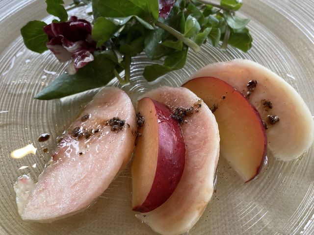 {̓gT__~G[ Ci[ Xg [Ro R