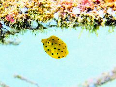 ˂̈ɓ_CrOXN[@ۂĂւ̓eʐ^1