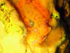 ˂̈ɓ_CrOXN[@ۂĂւ̓eʐ^2