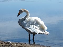 [񂳂̃EgiC΂ւ̓eʐ^1