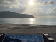 ȂȂҁ[R̍C݂̓eʐ^3