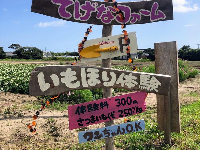 ���̊Ŕ��ڈ�I_�Ă��ȃt�@�[��