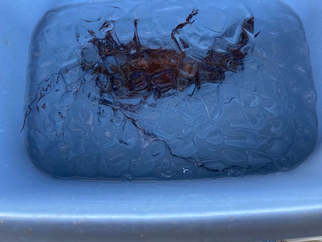 Xɓđl܂B_hيCƂ܂Ɋ