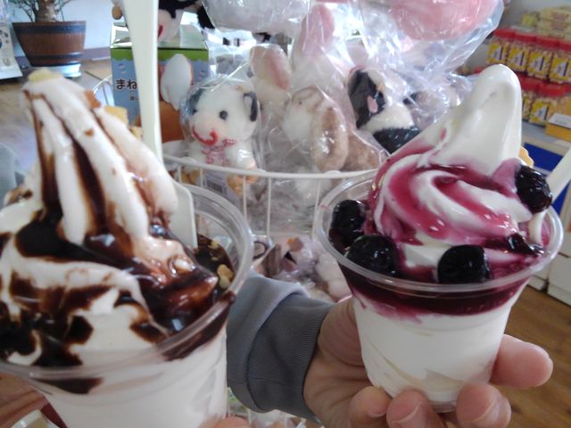 `Rƃu[x[łˁB_iqꃌXg ~J[Y