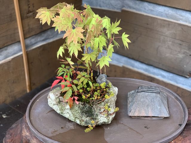 �ӏH�̎v���o�A_�`�F���[�K�[�f���쑐��