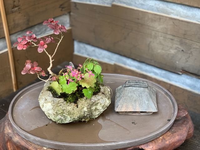 �ӏH�̎v���o�C_�`�F���[�K�[�f���쑐��