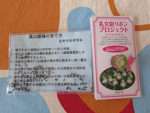 ���{���v���W�F�N�g�@���R�A���̕ی쓙�Ɋ�t����ƁA�o�b�W�ƉԂ̎�����������܂��B_�當�����R�A����