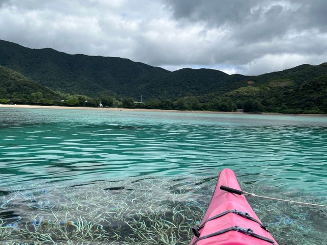 �}�X��̌Q��_���}�n�^�}�����T�[�r�X���܂�