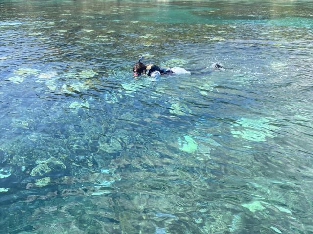 �V���m�[�P���̗l�q_�{�Ó�JET�N���[�Y