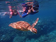 [񂳂̃RY~bNA[Xւ̓eʐ^1