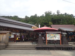 }Cann̂Ƃ܂ւ̓eʐ^1