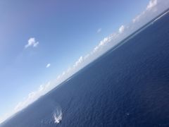 ̌cǊ(P})C攼cA[X@OPGւ̓eʐ^1