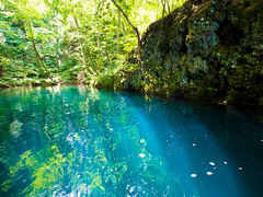 悤̃BgJ̓]ւ̓eʐ^1