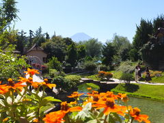 jR񂳂̉͌ yƐX̔pقւ̓eʐ^3