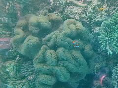 Sun̐약}T[rXւ̓eʐ^1