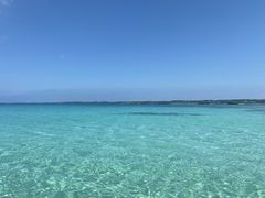 eikő{ÓJETN[Yւ̓eʐ^1