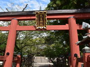 �O���`������̕X���_�Ђ̓��e�ʐ^1