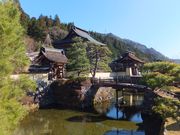 ���ڂ炳��̑T�����i�򕌌����C�s�j�̓��e�ʐ^2