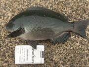 Ƃ񂳂̐_ˎsCÂ̓eʐ^1