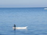 Rabbit̗Kӂꂠ̓eʐ^2