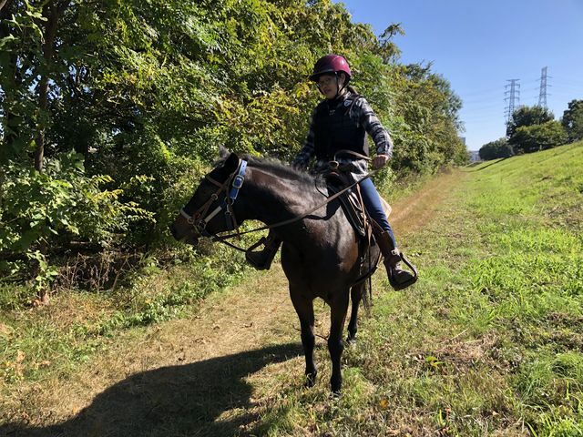 �撣��܂���_�}�����̕��z�[�X�g���b�L���O