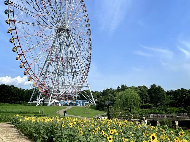 ��ϗ��Ԃƌ�����_�_�C���ƉԂ̑�ϗ���