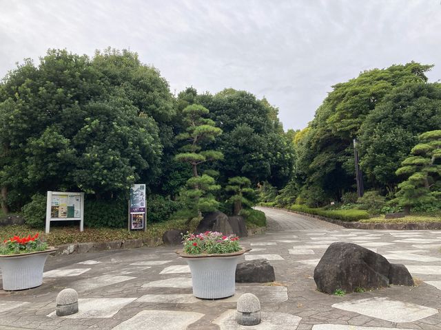 ���������C�l����_���������C�l����