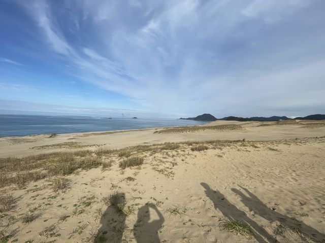 VCǂy[I_捻upOC_[XN[iu{܁j