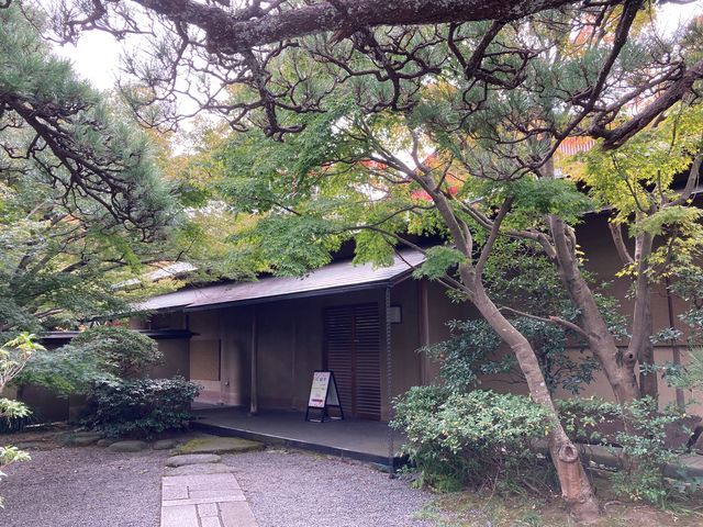 ���l��_���l��