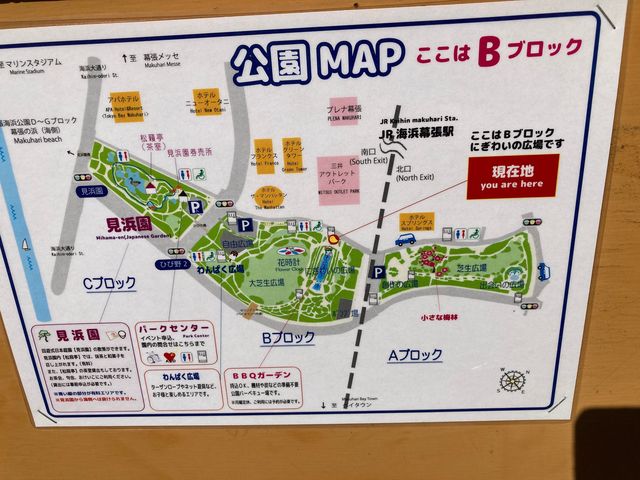 ���������C�l����_���������C�l����