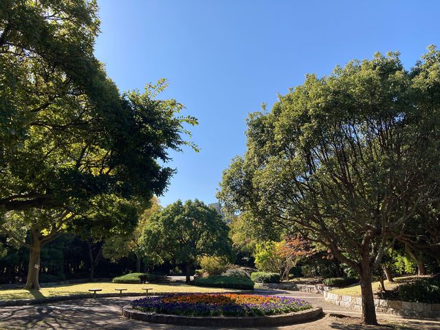 ���������C�l����_���������C�l����