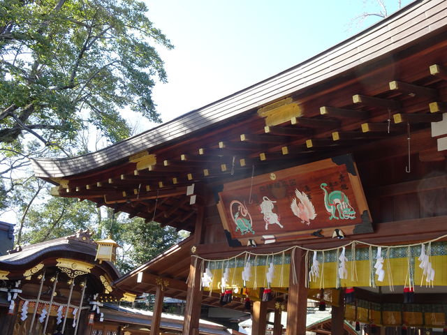 �l���̎��_�A�����E���ՁE�鐝�E���B_�쉤�_��